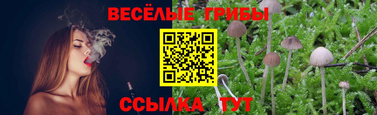 Пыть-Ях  Псилоцибиновые грибы Cubensis  Вход с VPN 